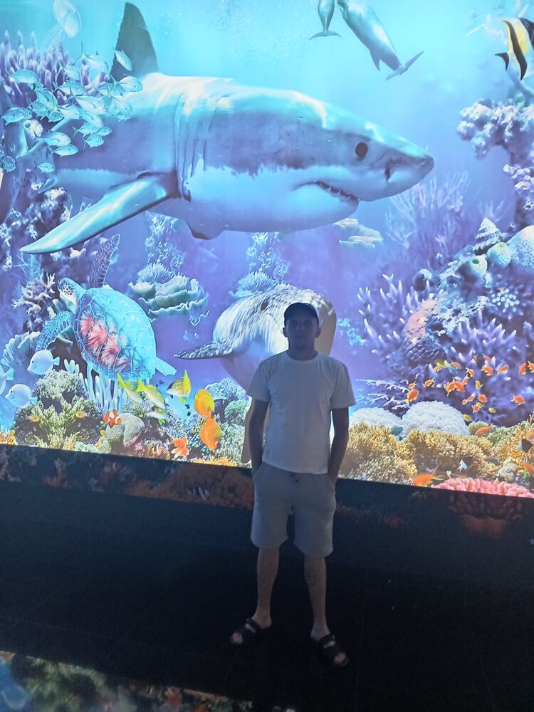 ���������� �������, ���� ������� �������, 35 ���, ������������ ��� ������, ����� � ���������