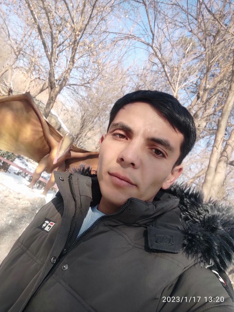 ���� 41861405 ������� ���������, 29 ���, ���� ���������� � �����-����������