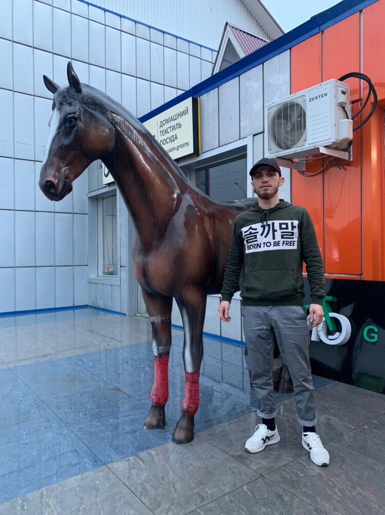  22833795  , 32 ,    -