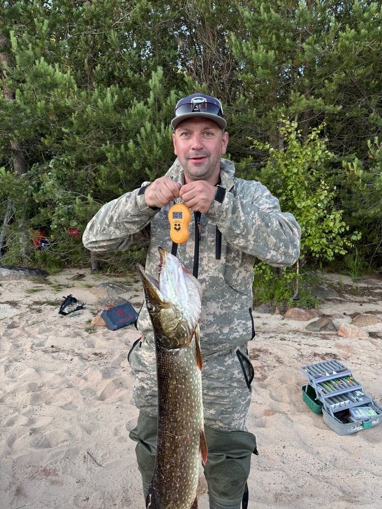 ���������� ������, ���� ������� ������, 44 ����, ������������ ��� ���������