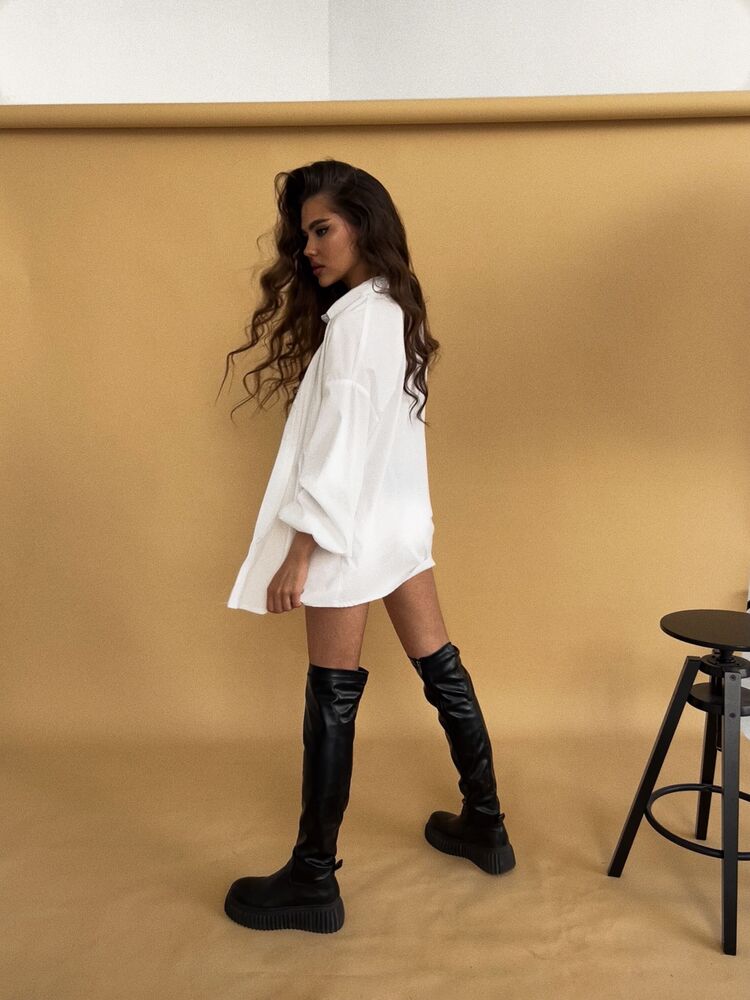 ���� 26686455 ������� ����, 23 ����, ���� ���������� � �����-����������