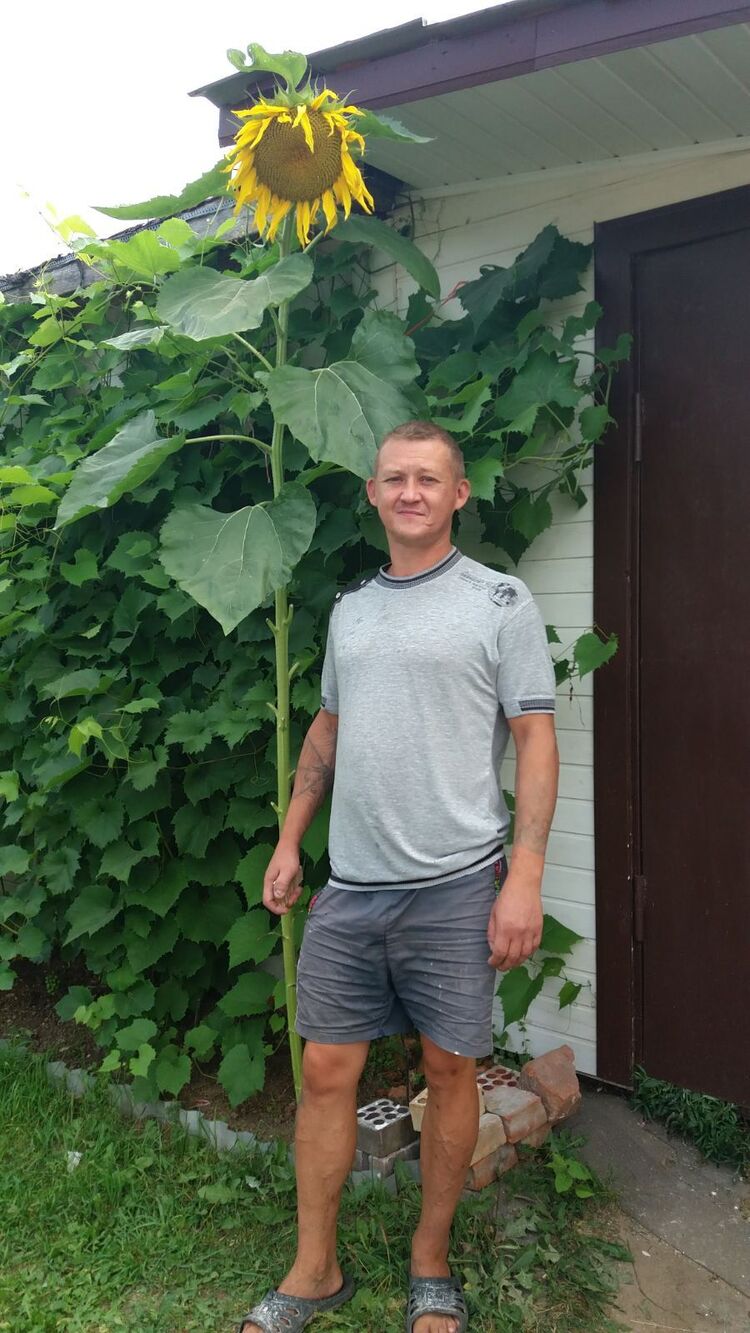 ���������� �������, ���� ������� ���������, 44 ����, ������������ ��� ������, ����� � ���������, c�������� ���������