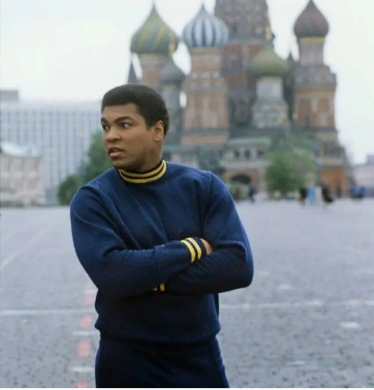  16687765  Rustam, 35 ,    