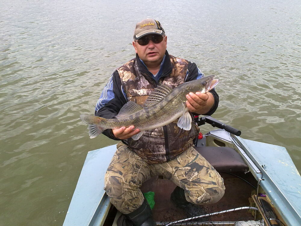  54086555  Aleksey, 55 ,    