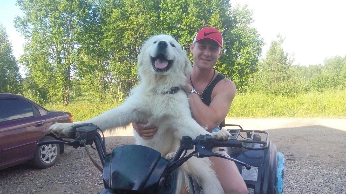 ���������� ���������, ���� ������� �������, 38 ���, ������������ ��� ������, ����� � ���������, c�������� ���������