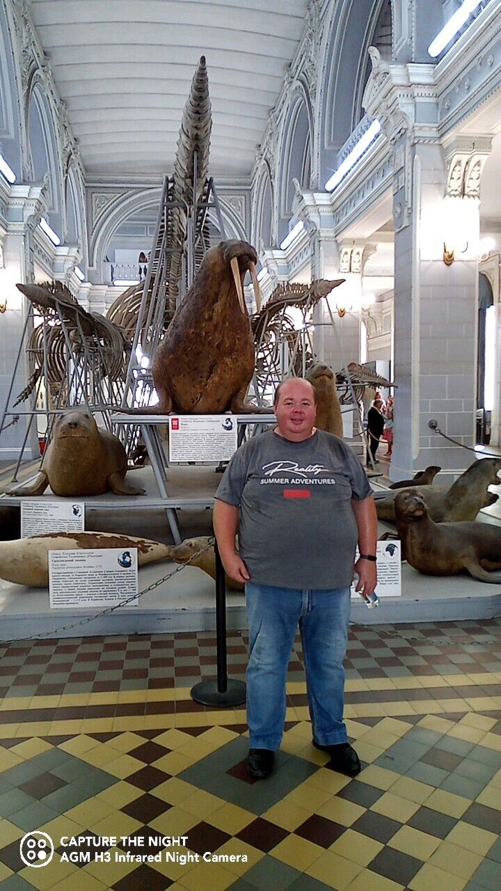 ���������� �����-���������, ���� ������� �������, 44 ����, ������������ ��� ������, ����� � ���������, c�������� ���������