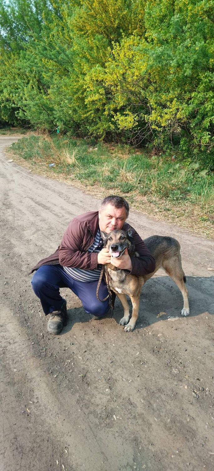 ���� 28131385 ������� ����, 54 ����, ���� ���������� � ��������