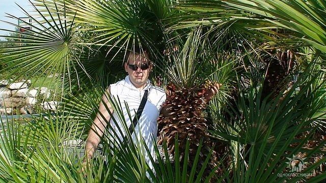  ,   Wladlen, 38 ,   ,   , c 