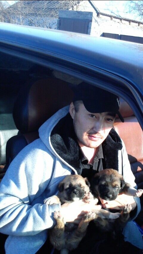 ���������� ������, ���� ������� �������, 47 ���, ������������ ��� ������, ����� � ���������, c�������� ���������