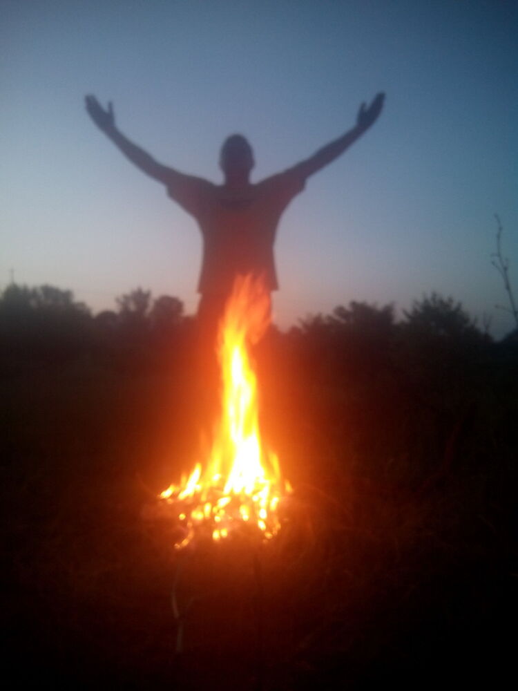 ���������� �������, ���� ������� ���������, 38 ���, ������������ ��� ����� � ���������, c�������� ���������