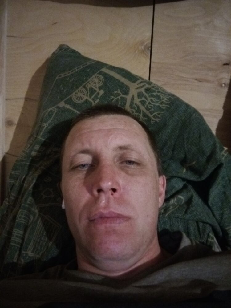  41151795  , 38 ,    -