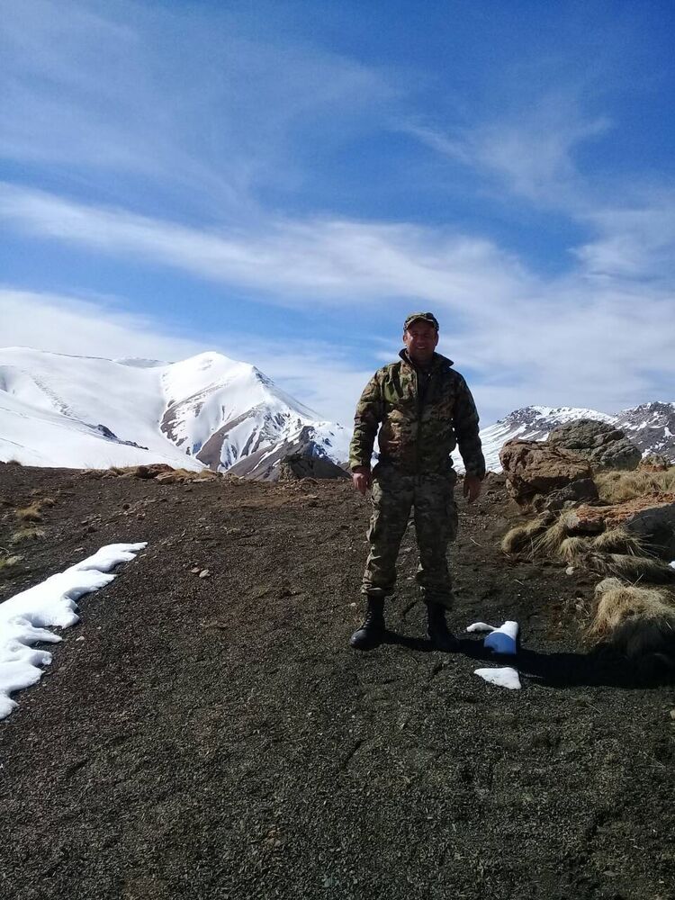 ���� 25875005 ������� Davo, 39 ���, ���� ���������� � �������