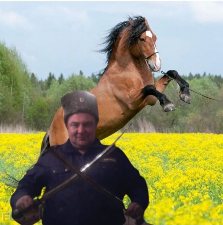 ���������� ���������, ���� ������� ���������, 48 ���, ������������ ��� ������, ����� � ���������