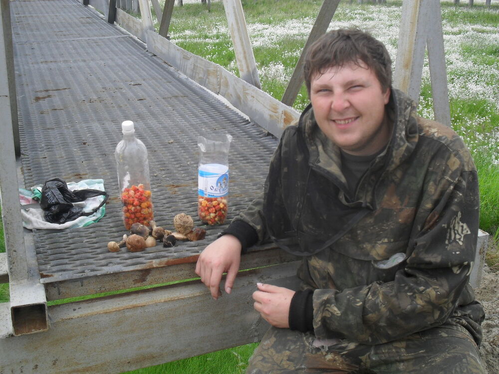 ���������� ������, ���� ������� ���������, 38 ���, ������������ ��� ������, ����� � ���������, c�������� ���������, ���������