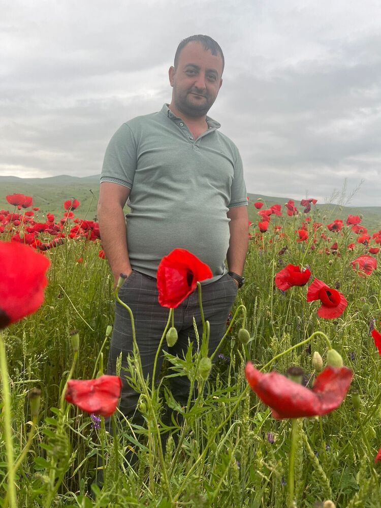 ���������� ������, ���� ������� �����, 37 ���, ������������ ��� ������, ����� � ���������, c�������� ���������