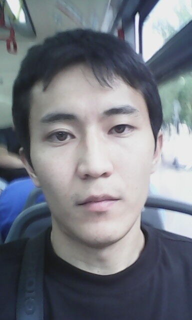  ,   Dreaming_Fly, 31 ,     , c 