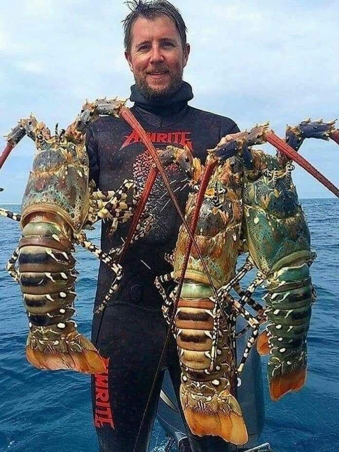  ,   , 56 ,   ,   