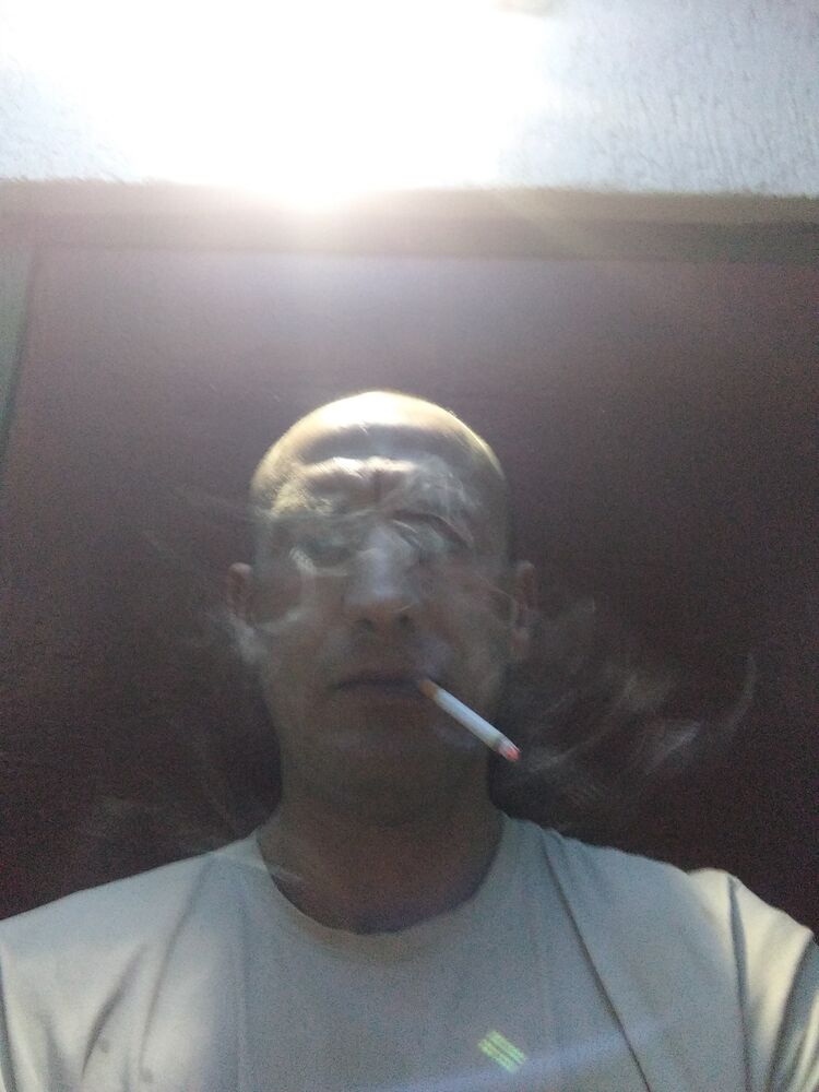 39030805  , 40 ,    