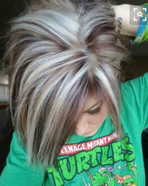 ���� 56178855 ������� �����, 40 ���, ���� ���������� � ����������