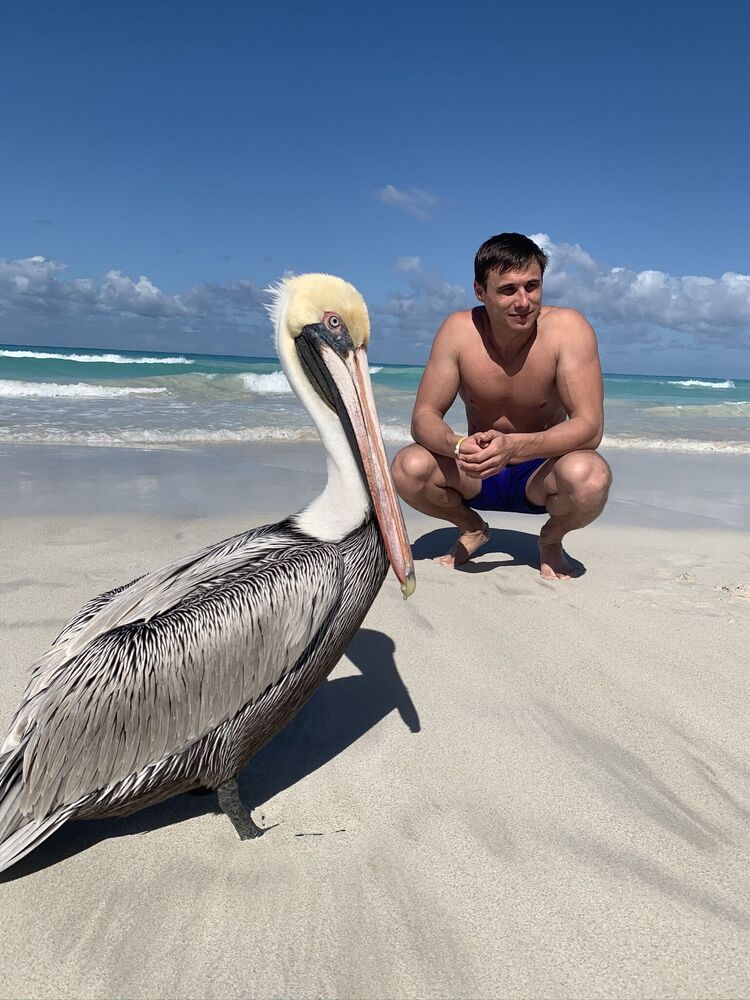 ���� 39204735 ������� �������, 36 ���, ���� ���������� � ������