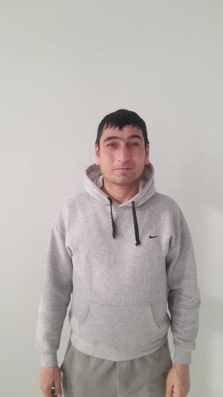  50669375  , 31 ,    