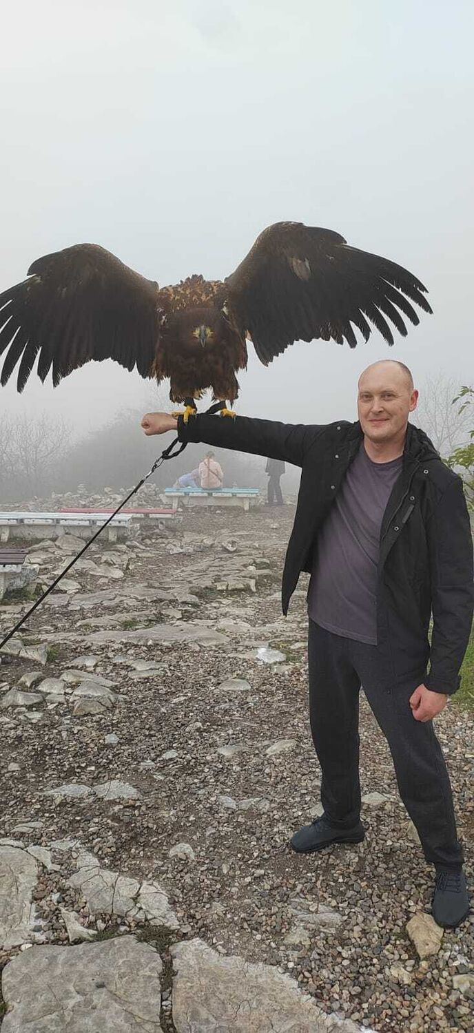 ���� 55772805 ������� �������, 41 ���, ���� ���������� � ������