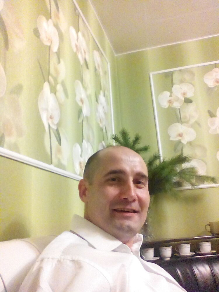  ,   Dogd, 41 ,   