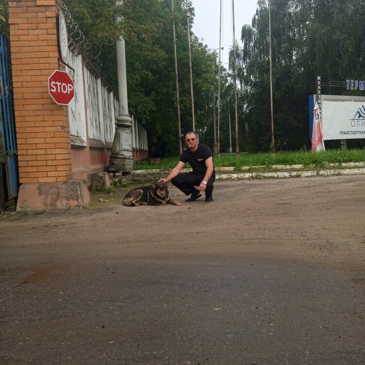 ���� 46598525 ������� �������, 42 ����, ���� ���������� � ������