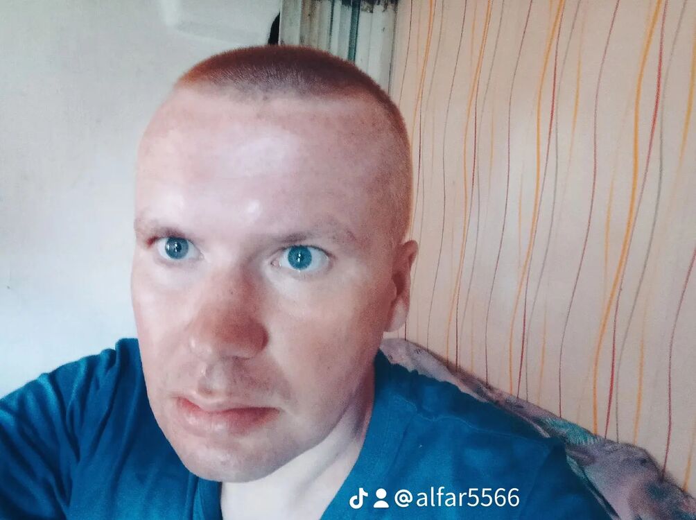 36588085  , 32 ,    