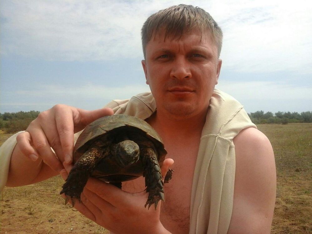 ���� 24356605 ������� ���������, 44 ����, ���� ���������� � ������������