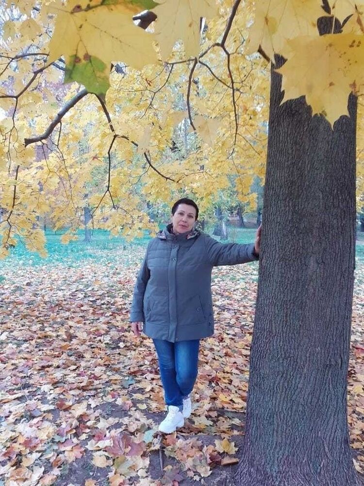 ���� 19362705 ������� �������, 60 ���, ���� ���������� � ������