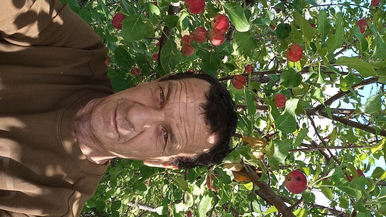  54551455  , 48 ,    -