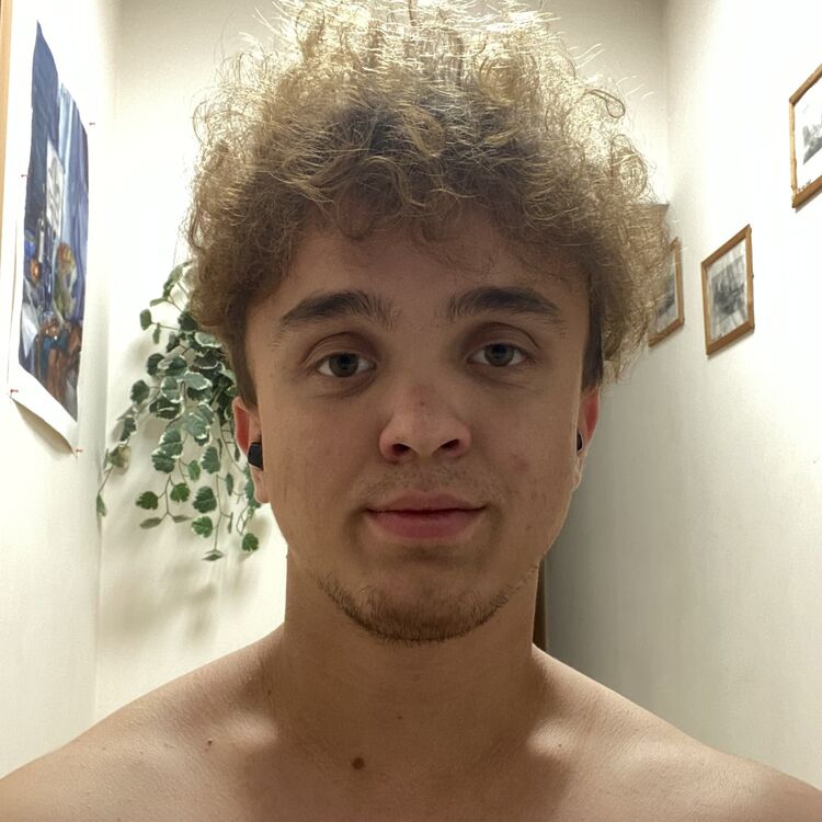  54013795  , 27 ,    -