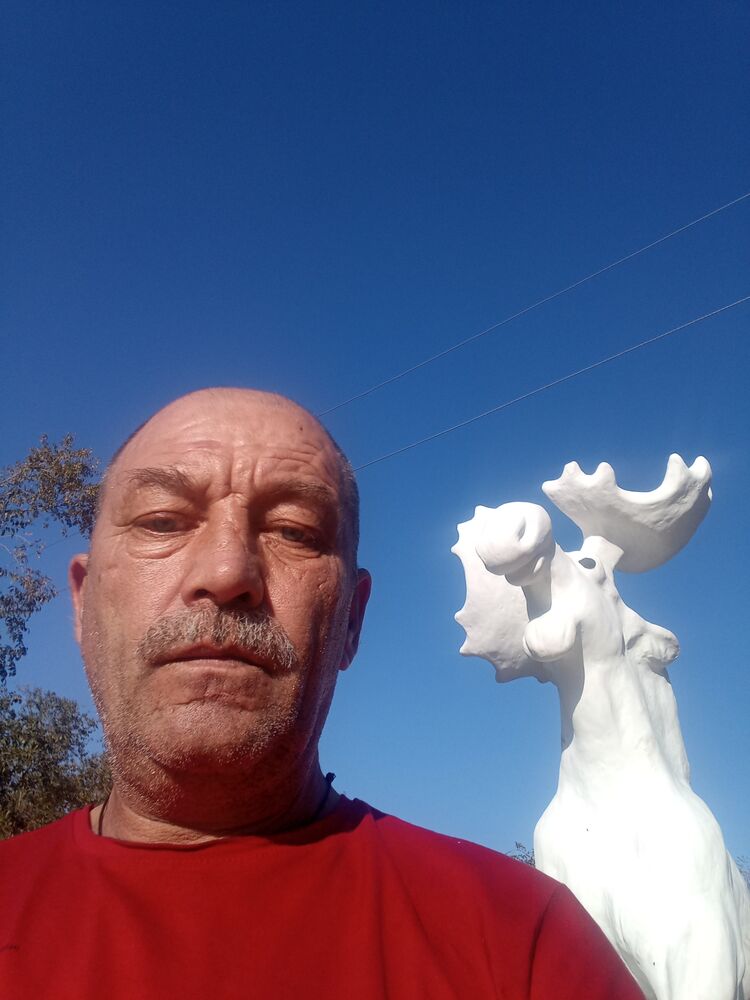  38736315  , 56 ,    