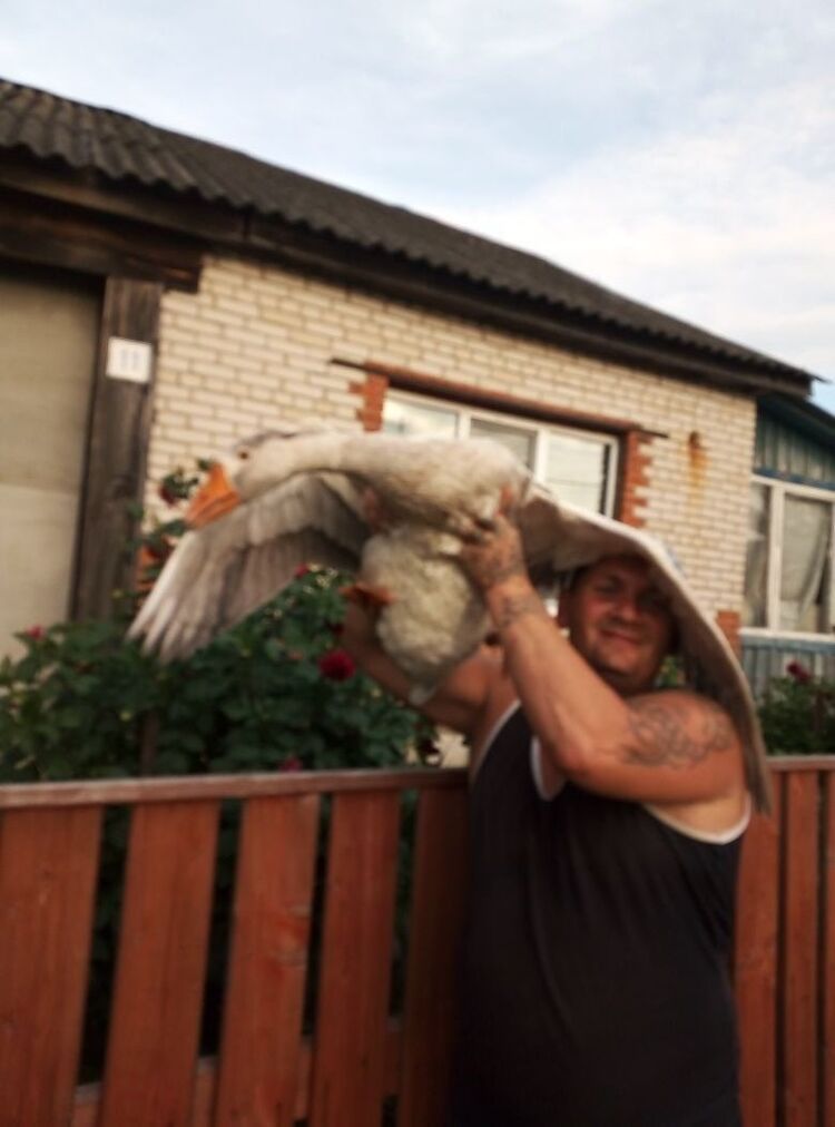 ���������� ��������, ���� ������� ���������, 44 ����, ������������ ��� ������, ����� � ���������, c�������� ���������