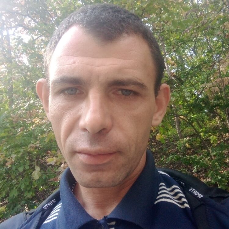  29636535  , 41 ,    