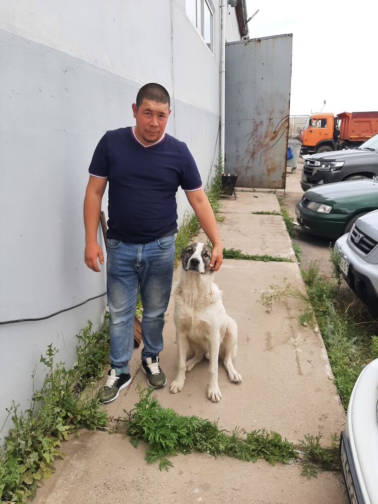  ,   , 36 ,   c , 