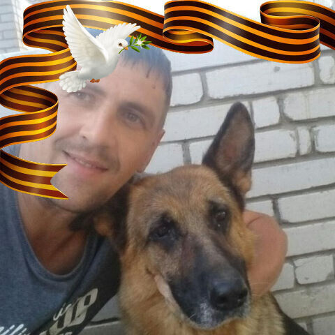 ���� 20951485 ������� �������, 43 ����, ���� ���������� � ������������