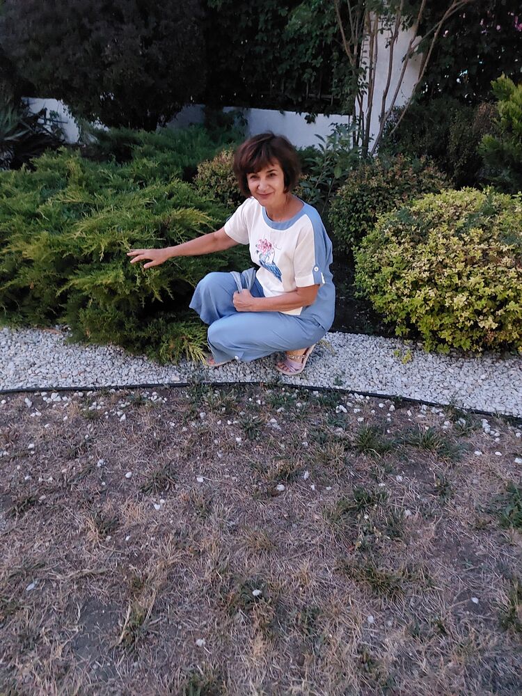  54411535  , 55 ,    -