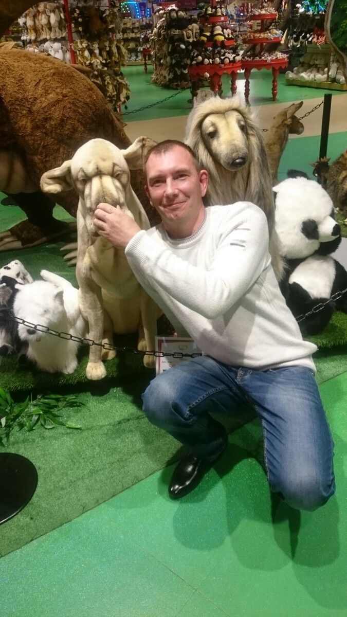 ���� 9981375 ������� �������, 46 ���, ���� ���������� � ������