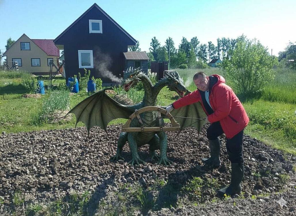  54572875  , 41 ,    -