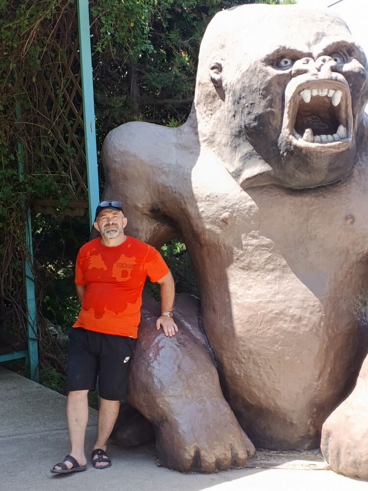 ���� 56002775 ������� �������, 44 ����, ���� ���������� � ����������