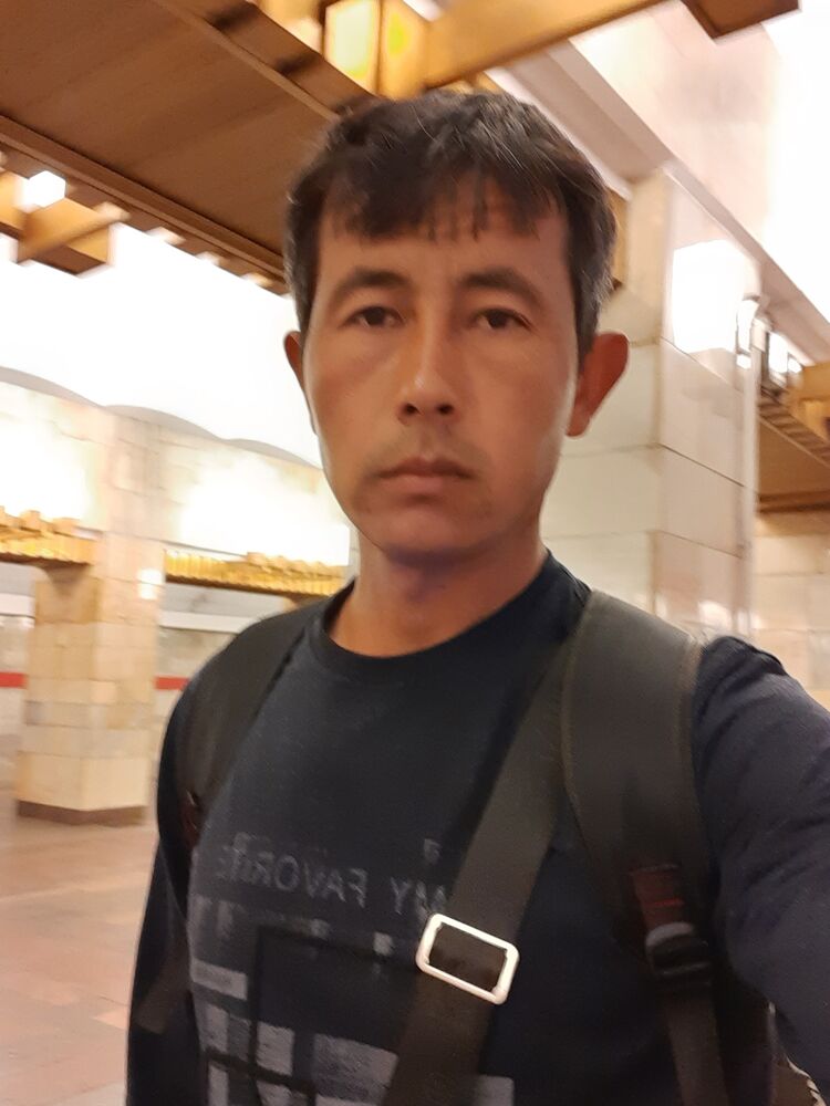  33371825  , 38 ,    