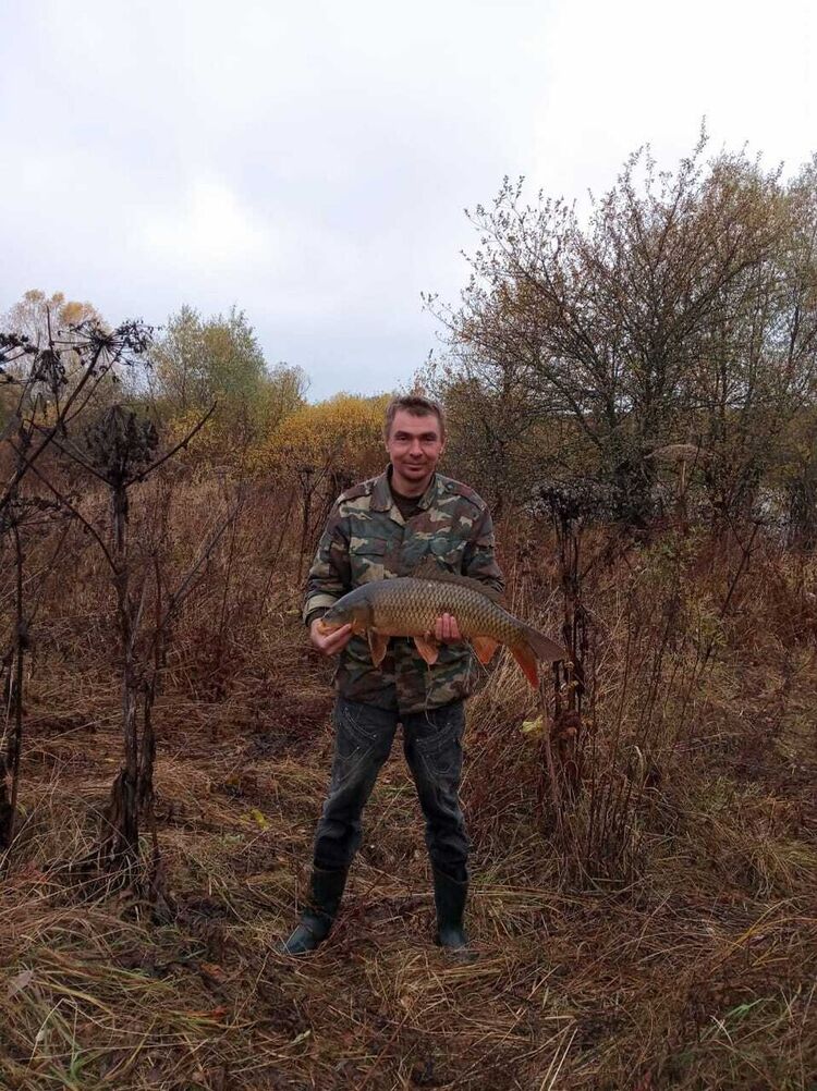 ���������� ������, ���� ������� �������, 48 ���, ������������ ��� ������, ����� � ���������, c�������� ���������