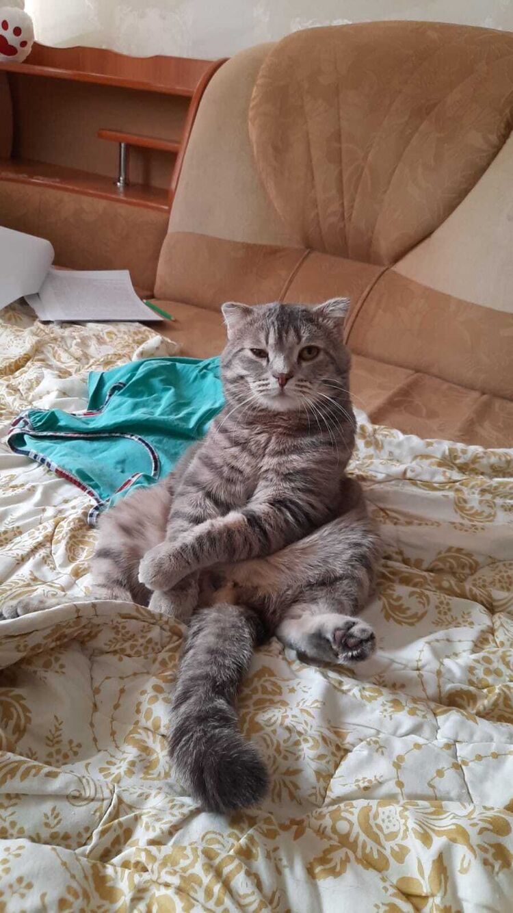 ���������� ������, ���� ����� Timofei, 24 ����, ������������ 