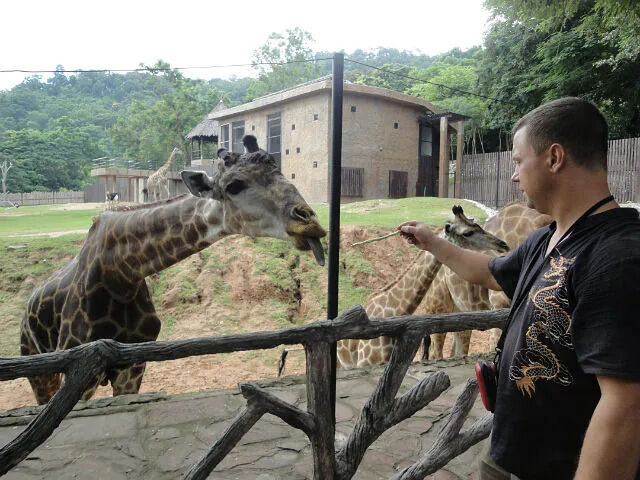 ���������� �����������, ���� ������� �������, 48 ���, ������������ ��� ������, ����� � ���������, ���������