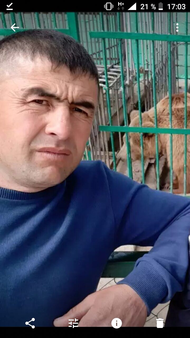  52964965  , 36 ,    