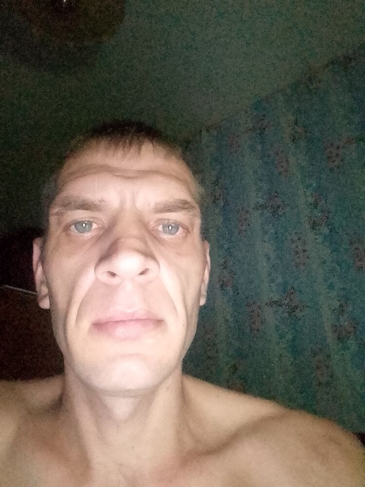  28081365  , 38 ,    