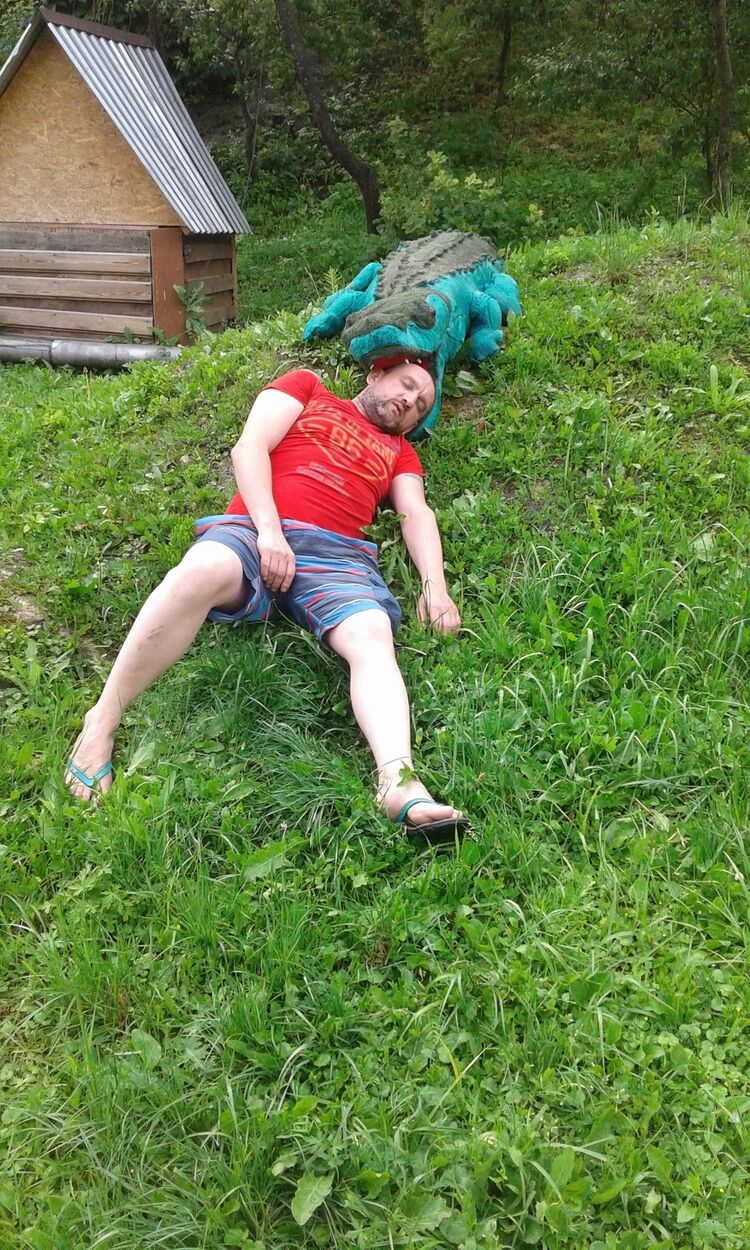  28322155  , 44 ,    