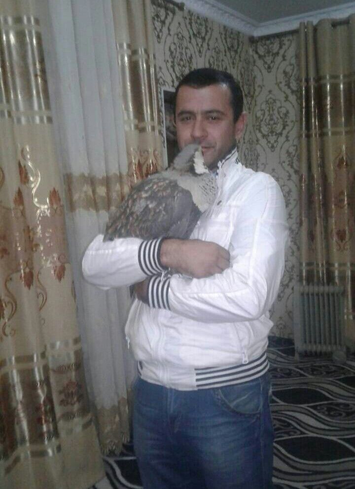 ���� 18127815 ������� �����, 46 ���, ���� ���������� � �������